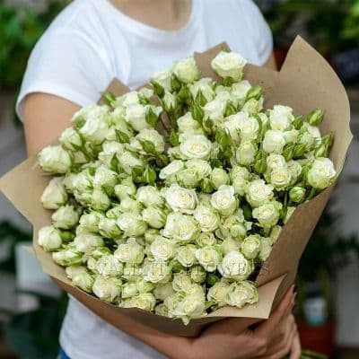 Кустовые розы (50см) белые