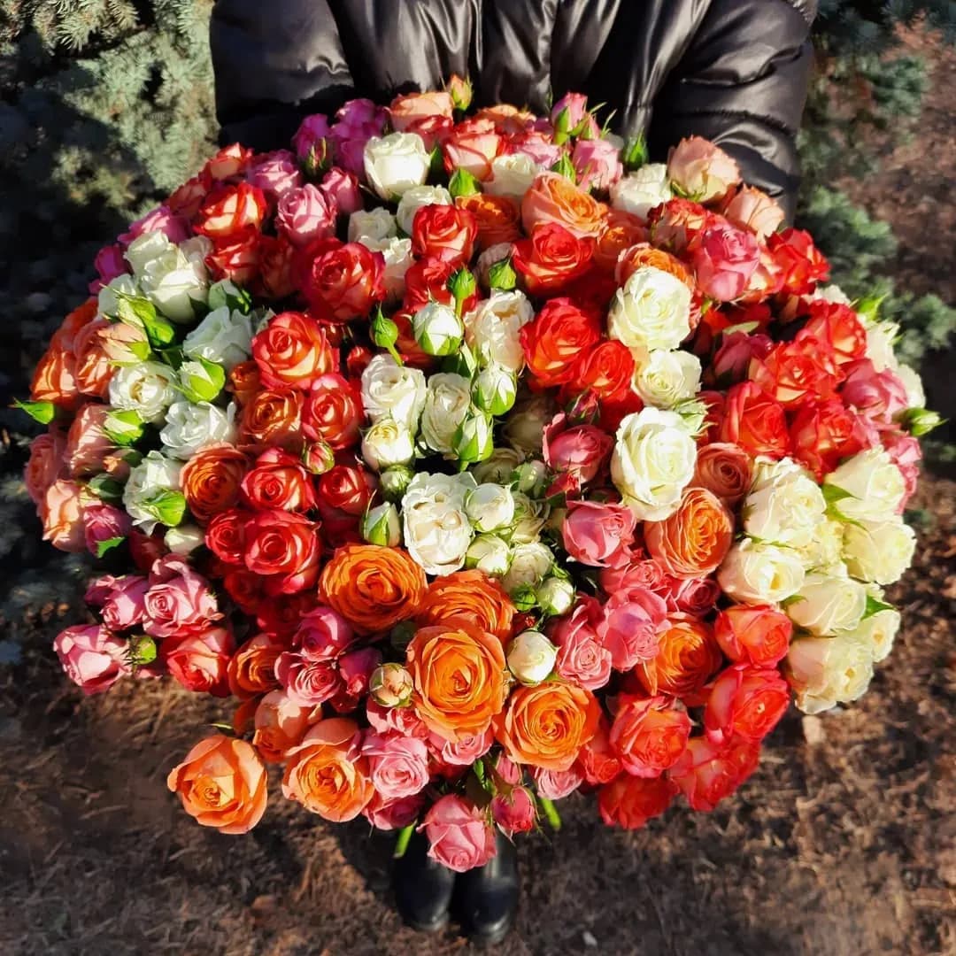 Кустовые розы (60см) разноцветные