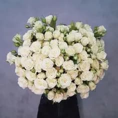 Кустовые розы (60см) белые