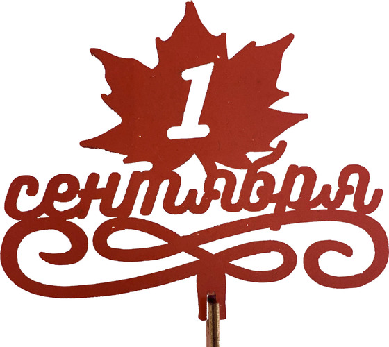 Топпер 020-6