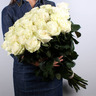 Розы белые (70см) Эквадор