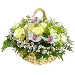 Корзина 073