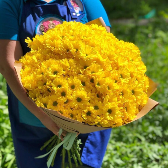 Хризантемы Желтые ромашки