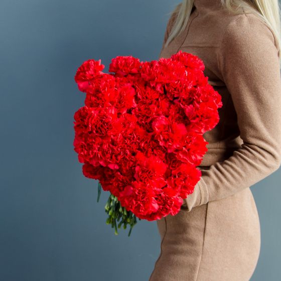 Букет 389 Диантусы красные