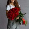 Розы красные (70см) Эквадор