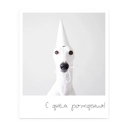 Фотокарточка 419