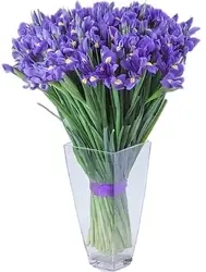 Букет 368 Ирис синий 45шт