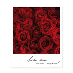 Фотокарточка 571